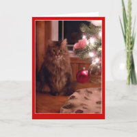 Cat and Christmas tree ornaments greeting card