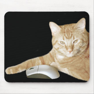 Cat and computer mouse pad
