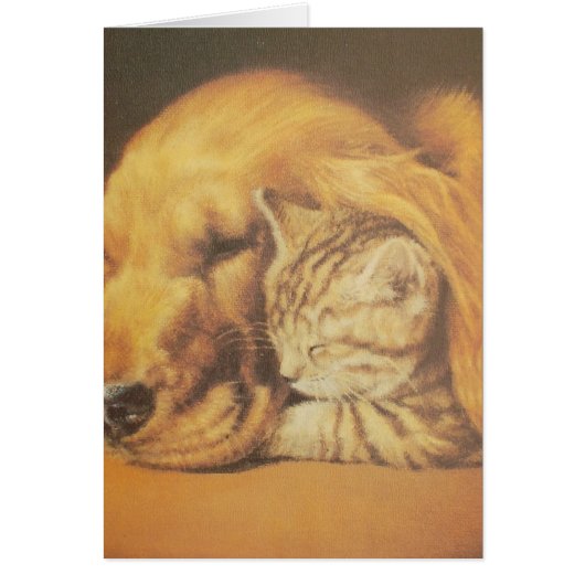 Cat and Dog Cards (Front)