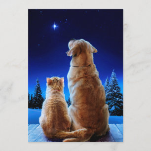 Cat and Dog Christmas Miracle Invitation