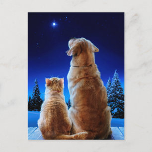 Cat and Dog Christmas Miracle Invitation Postcard