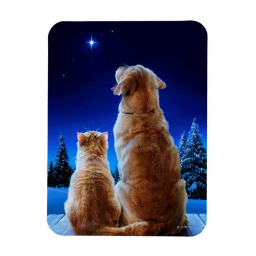 Cat and Dog Christmas Miracle Magnet