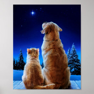 Cat and Dog Christmas Miracle Poster