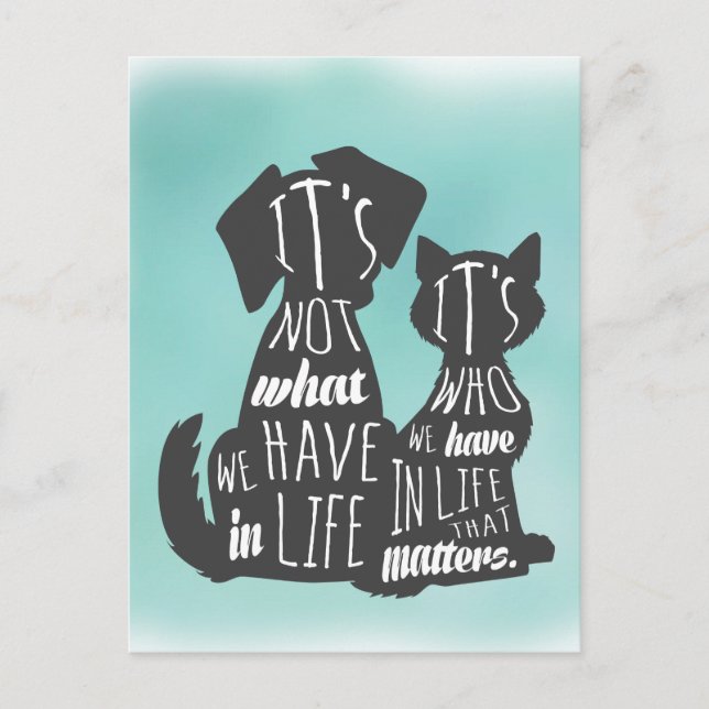 Cat and Dog Friends Best Friend Captions Postcard (Front)