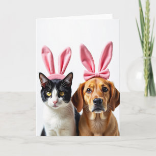 Cat And Dog Friends Fun Card