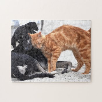 Cat And Dog Friends Jigsaw Puzzle by RiverJude at Zazzle