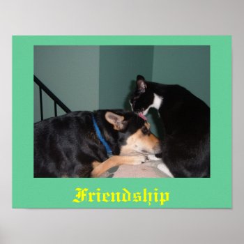 Cat And Dog Friendship Poster by charlynsun at Zazzle