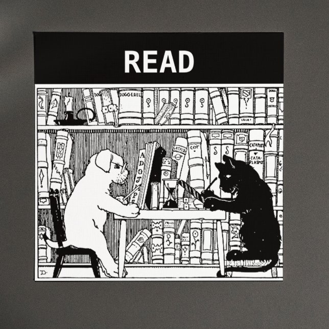 Cat and Dog in the Library Magnet (Creator Uploaded)