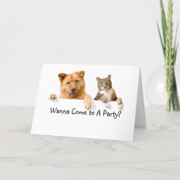 Cat And Dog Party Invitation by PetsRPeople2 at Zazzle
