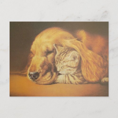 Cat and Dog Postcard