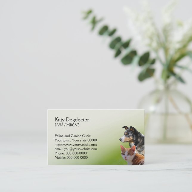 Country Animal Tc Animal Hospital Visit To The Vet Clinic 10438