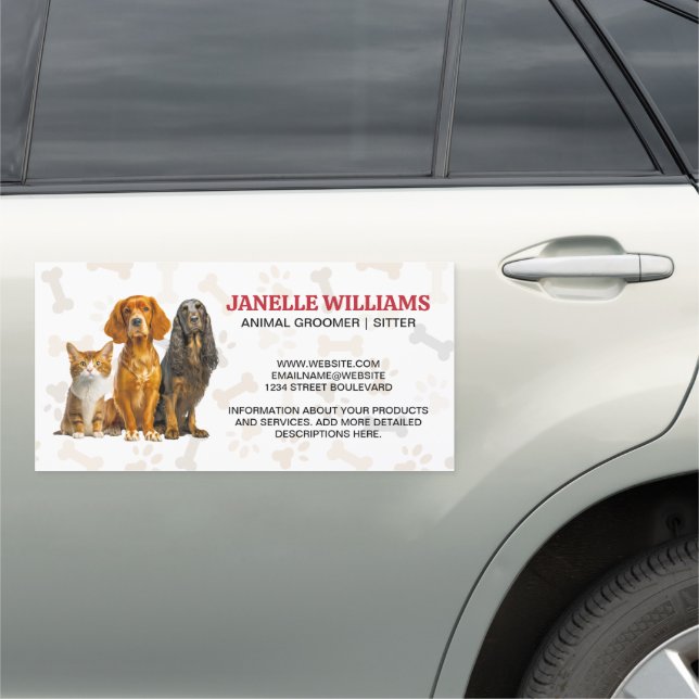 Cat and Dogs Sitting | Paw and Bones Pattern Car Magnet (In Situ)