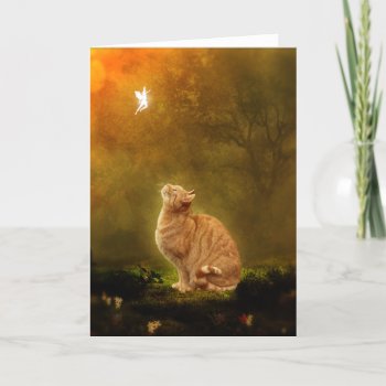 Cat And Fairy Card by CaptainScratch at Zazzle