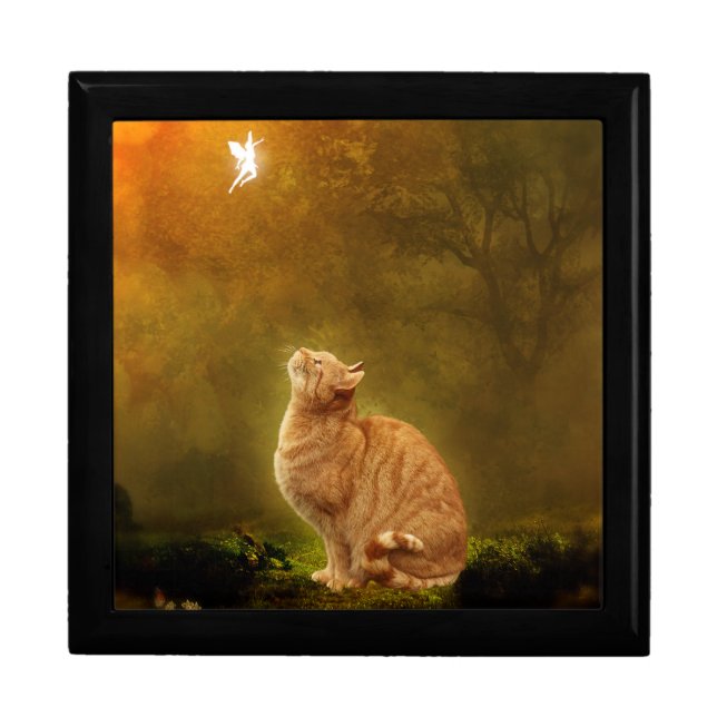 Cat And Fairy Keepsake Box (Front)