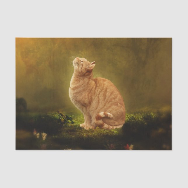 Cat and Fairy Tissue Paper (Front)