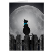 Cat and full moon (Front)