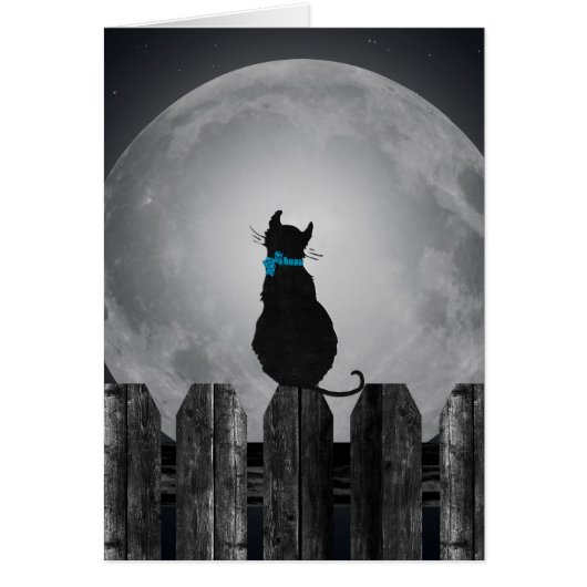 Cat and full moon cards (Front)