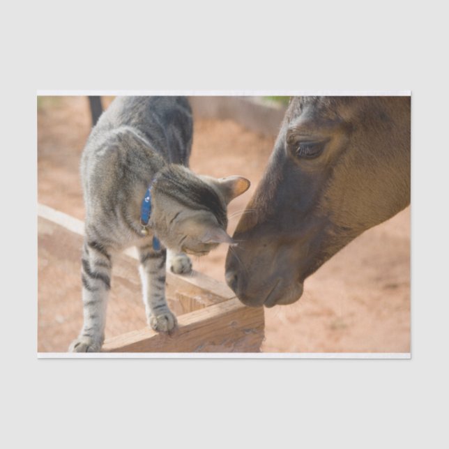 Cat and Horse Friends Tissue Paper (Front)