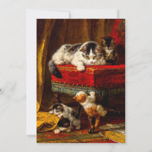 Cat and Kittens Playing with Chair Invitation