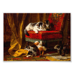 Cat and Kittens Playing with Chair Photo Print