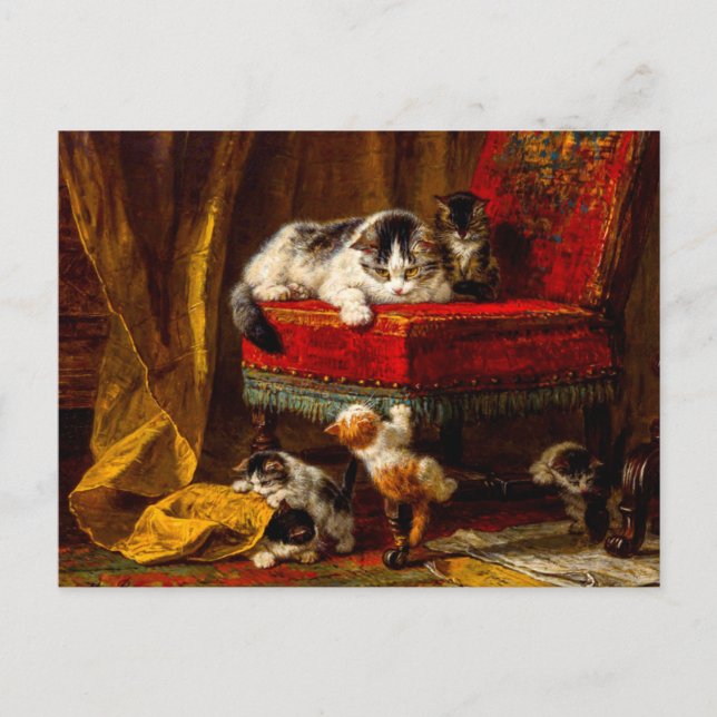 Cat and Kittens Playing with Chair Postcard (Front)