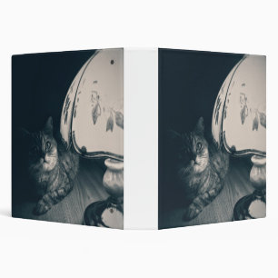 Cat and Lamp Noir Style Photograph 3 Ring Binder