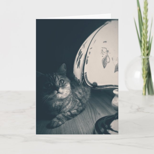 Cat and Lamp Noir Style Photograph Card (Front)