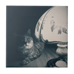 Cat and Lamp Noir Style Photograph Ceramic Tile