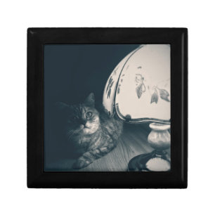 Cat and Lamp Noir Style Photograph Gift Box
