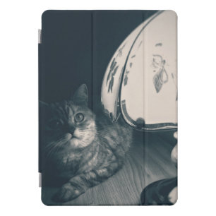 Cat and Lamp Noir Style Photograph iPad Pro Cover