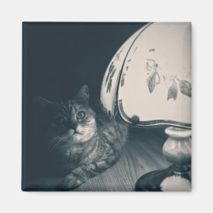 Cat and Lamp Noir Style Photograph Magnet