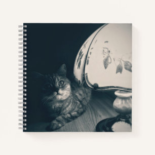 Cat and Lamp Noir Style Photograph Notebook
