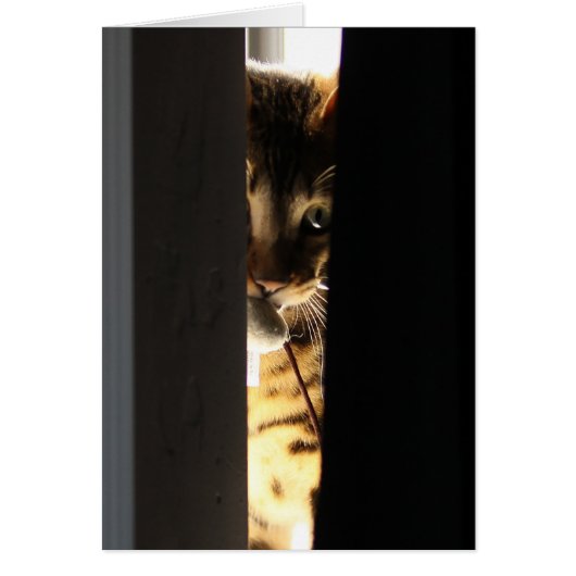 Cat and mouse (Front)