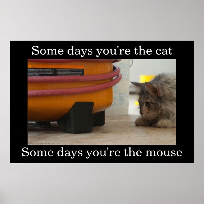 Cat and Mouse Demotivational Poster