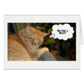 Cat and Mouse Humor (Front Horizontal)