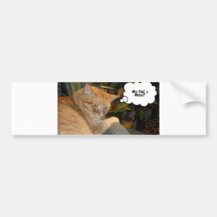 Cat and Mouse Humor Bumper Sticker