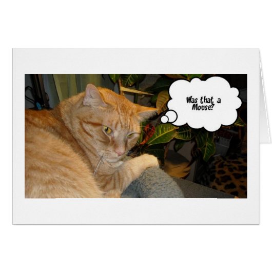 Cat and Mouse Humor Cards (Front Horizontal)