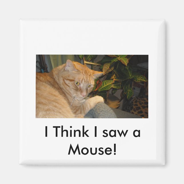 Cat and Mouse Humor Magnet (Front)