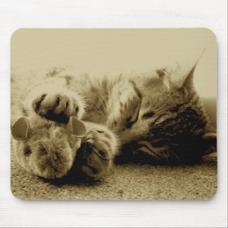 Cat and Mouse Mouse Pad