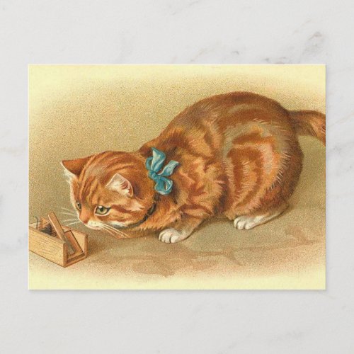 Cat and Mouse Postcard