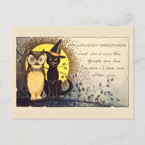 Cat and Owl in Vintage Halloween Postcard