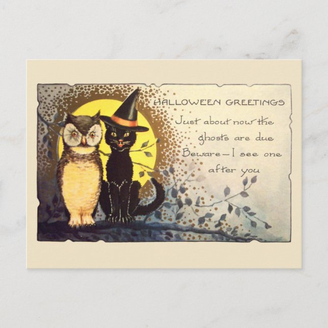 Cat and Owl in Vintage Halloween Postcard (Front)