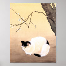 Cat and Plum Blossoms - Hishida Shunso  Poster