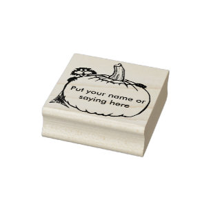 Cat and pumpkin 2 illustration art stamp