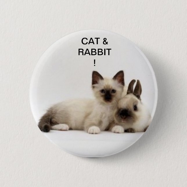 cat and rabbit / cat and rabbit siamese! badge! pinback button (Front)