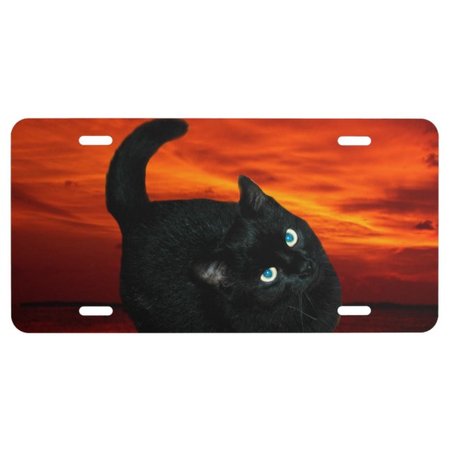 Cat and Red Sky License Plate (Front)