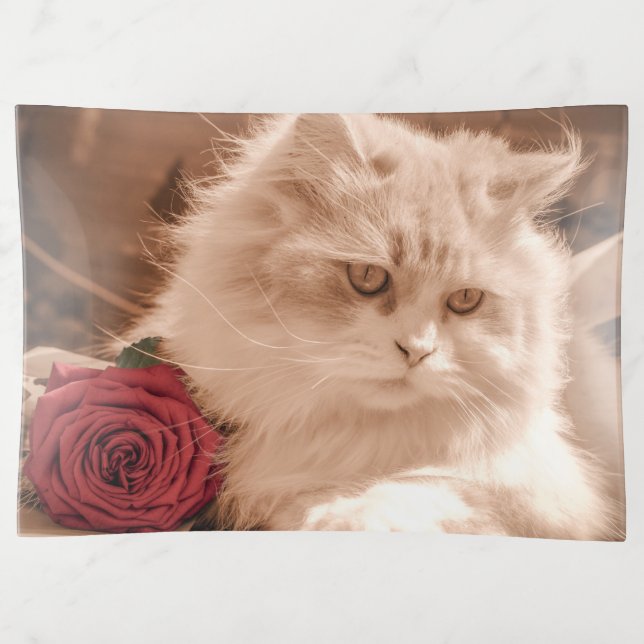 Cat and Rose Trinket Tray (Front)