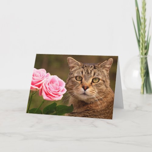 Cat And Roses Get Well Card
