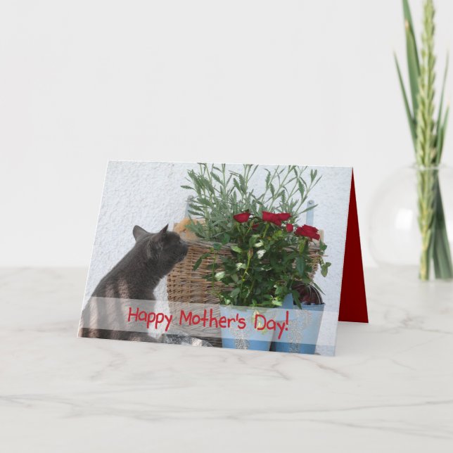 Cat and Roses Happy Mother's Day! Card (Front)