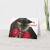 Cat and Roses Valentine Card